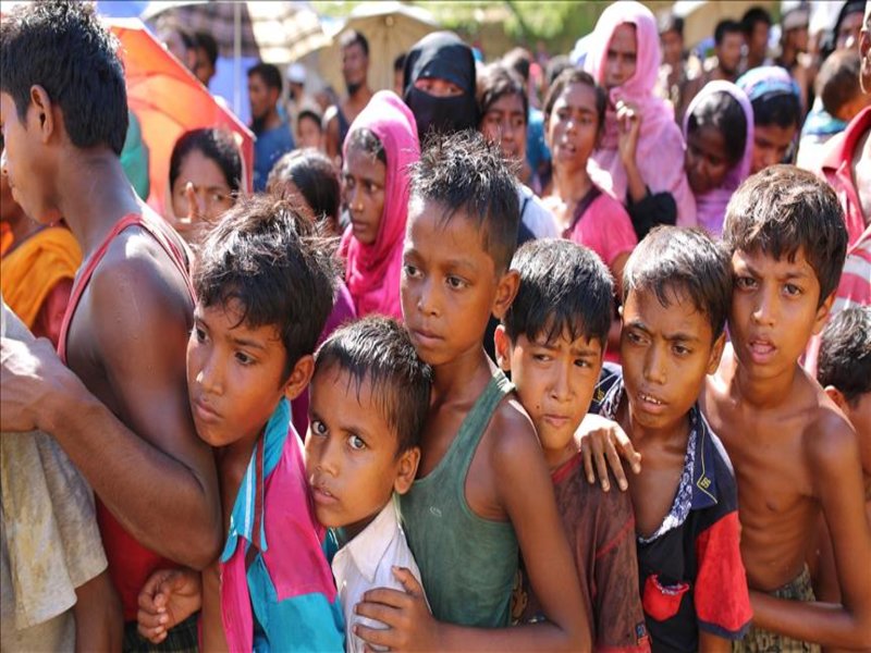 rohingya (7)