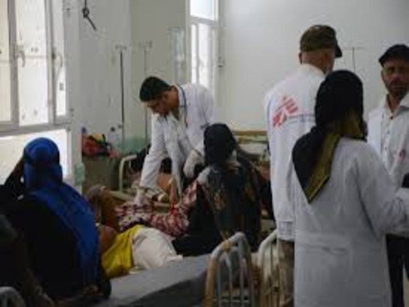 msf (1)