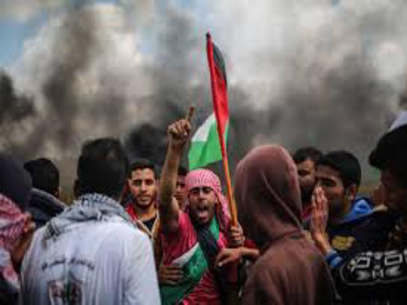 gaza800x600