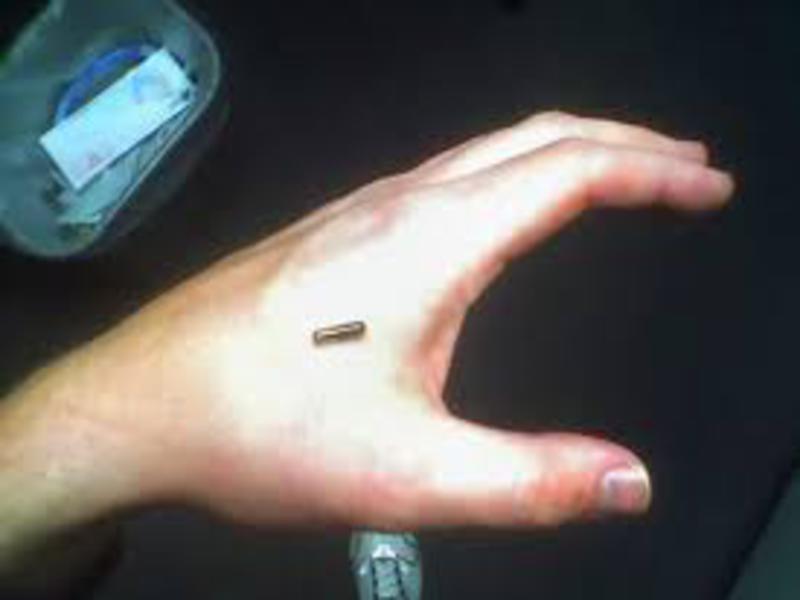 microchip800x600